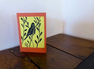 Bird card