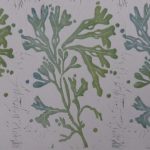 Three seaweed