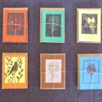 Pack of cards
