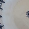 blue and white plate detail