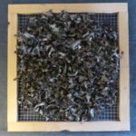 dried mushrooms